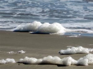 What If You Can't See God's Footprints? What If You Can't See God's Footprints?