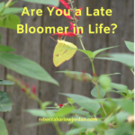 Are You a Late Bloomer in Life?