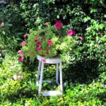 beauty - Garden Art - finding beauty everywhere