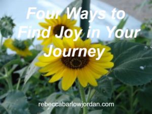 Are you wanting to get more out of life? Here are four ways to find joy in your journey.