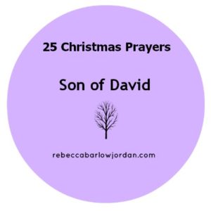 http://www.rebeccabarlowjordan.com/25-christmas-prayers-day-10