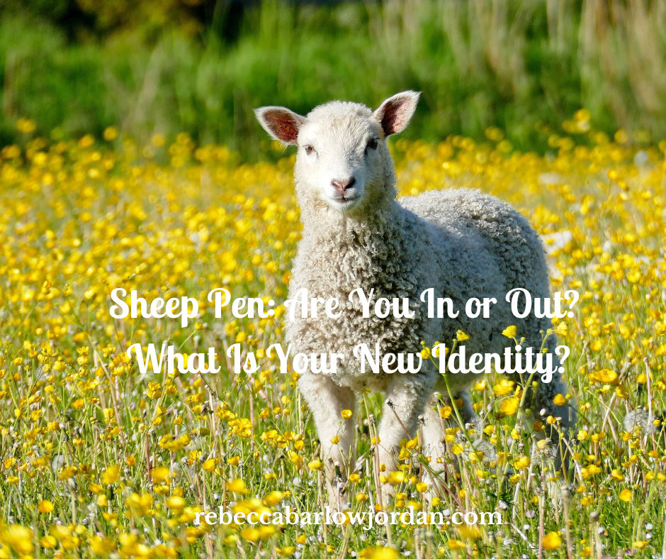 Sheep Pen? Are You In or Out? What Is Your New Identity?