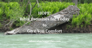 Hope: Bible Promises for Today to Give You Comfort