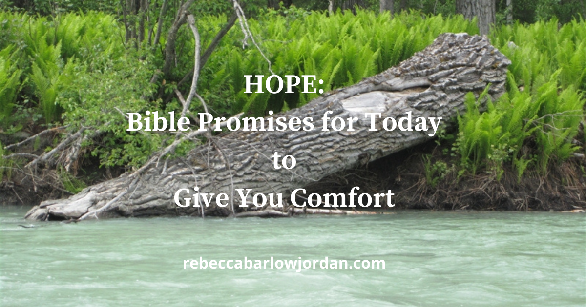Hope: Bible Promises for Today to Give You Comfort