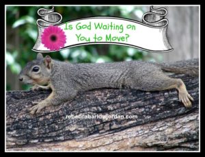 http://www.rebeccabarlowjordan.com/is-god-waiting-on-you-to-move