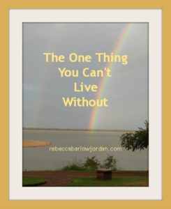 http://www.rebeccabarlowjordan.com/one-thing-cant-live-without