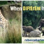 http://www.rebeccabarlowjordan.com/different-good