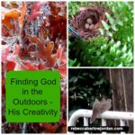 Finding God in the Outdoors – His Creativity