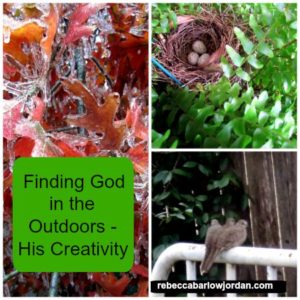 God's creativity - Finding God in the Outdoors - His Creativity
