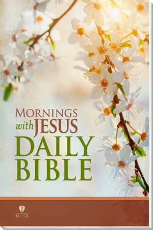 MORNINGS with JESUS DAILY BIBLE