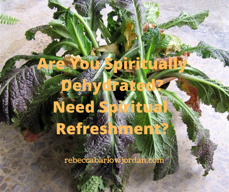 Are You Spiritually Dehydrated? Need Spiritual Refreshment?